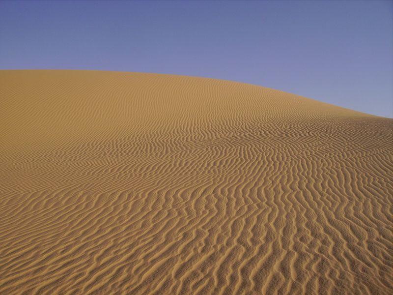 IMGP0426 [800x600]